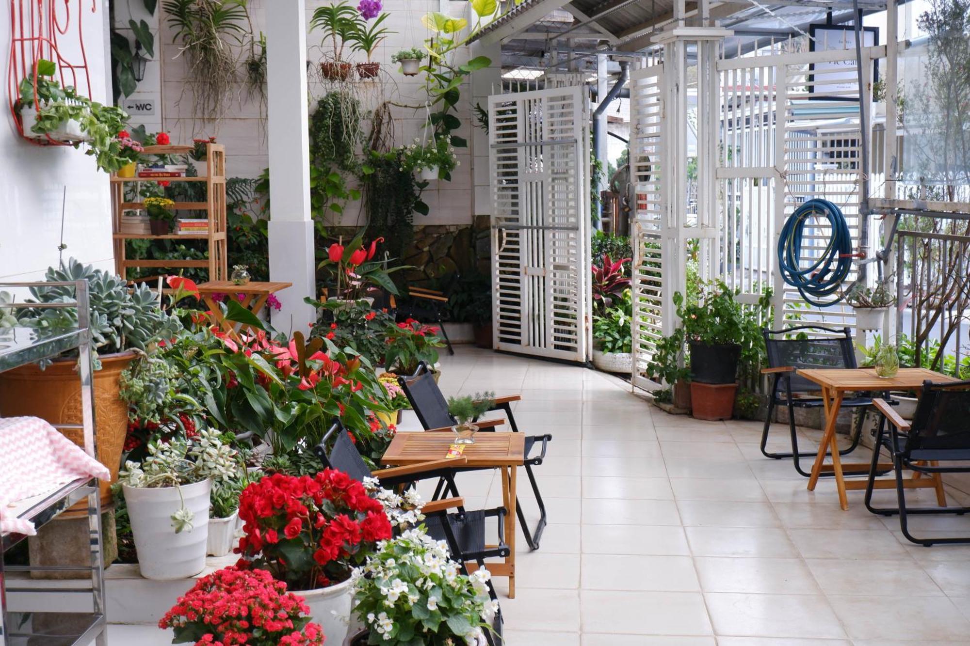 296 Cetete - Home In Dalat 외부 사진